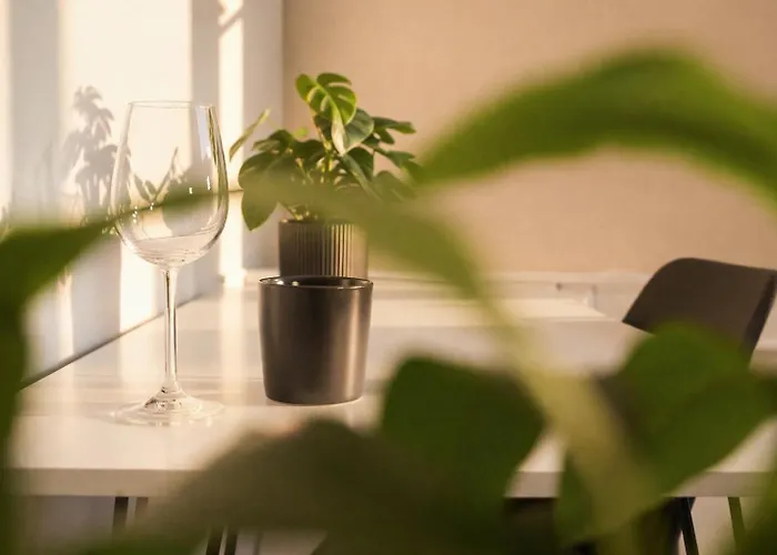 Deluxe Urban Линц